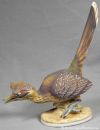 Roadrunner, tail up - 3209